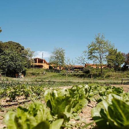 Casa Rural En El Campo Las Dalias トルデラ エクステリア 写真