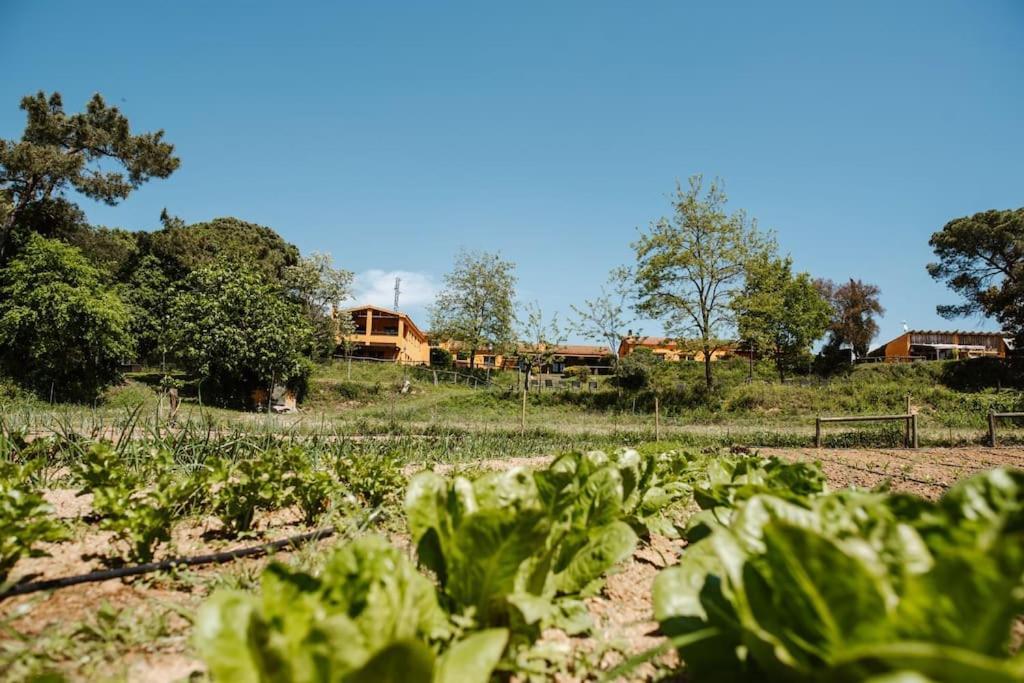 Casa Rural En El Campo Las Dalias トルデラ エクステリア 写真
